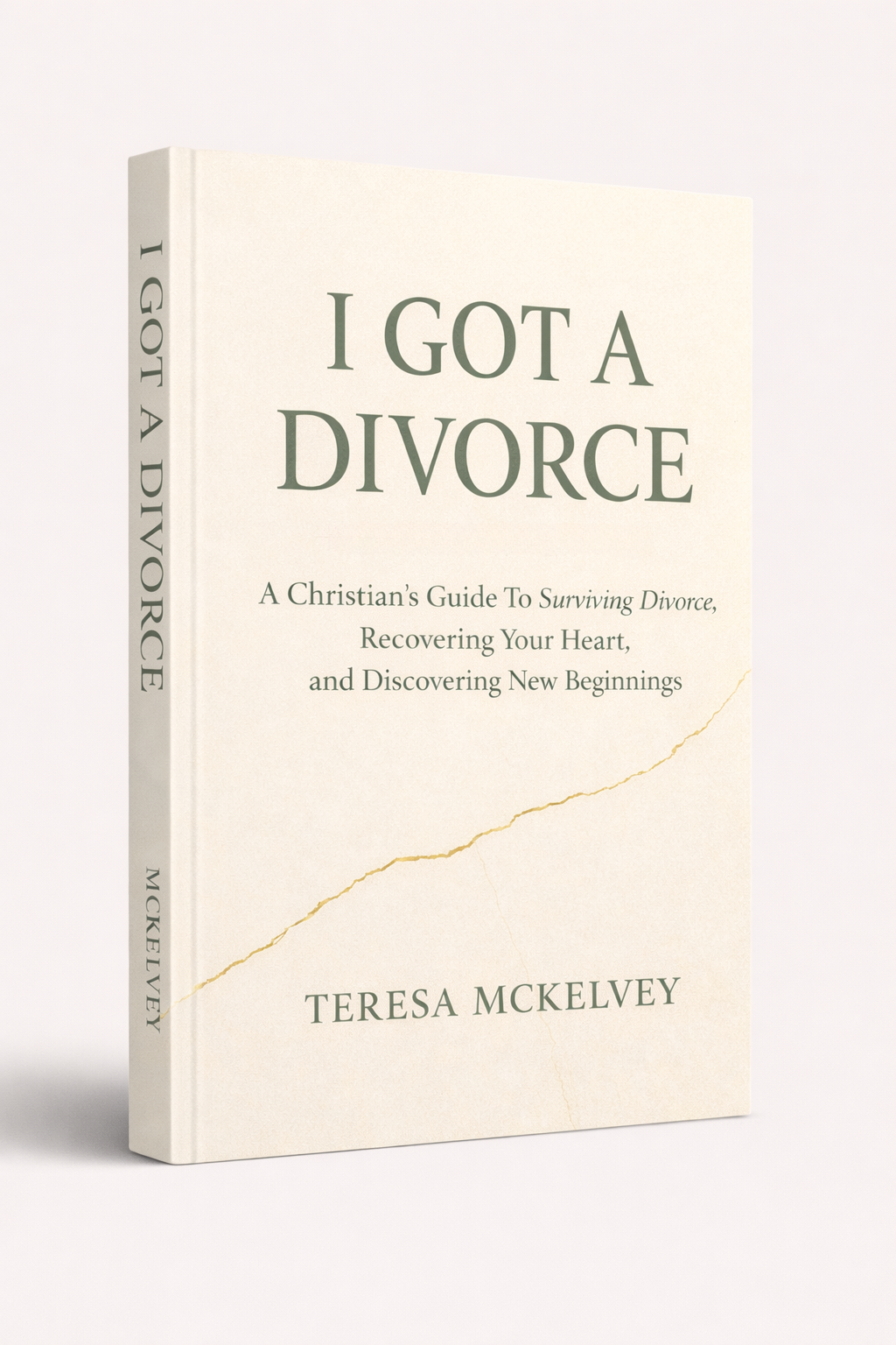 I Got A Divorce Book - Teresa McKelvey. A Guide For Christians.